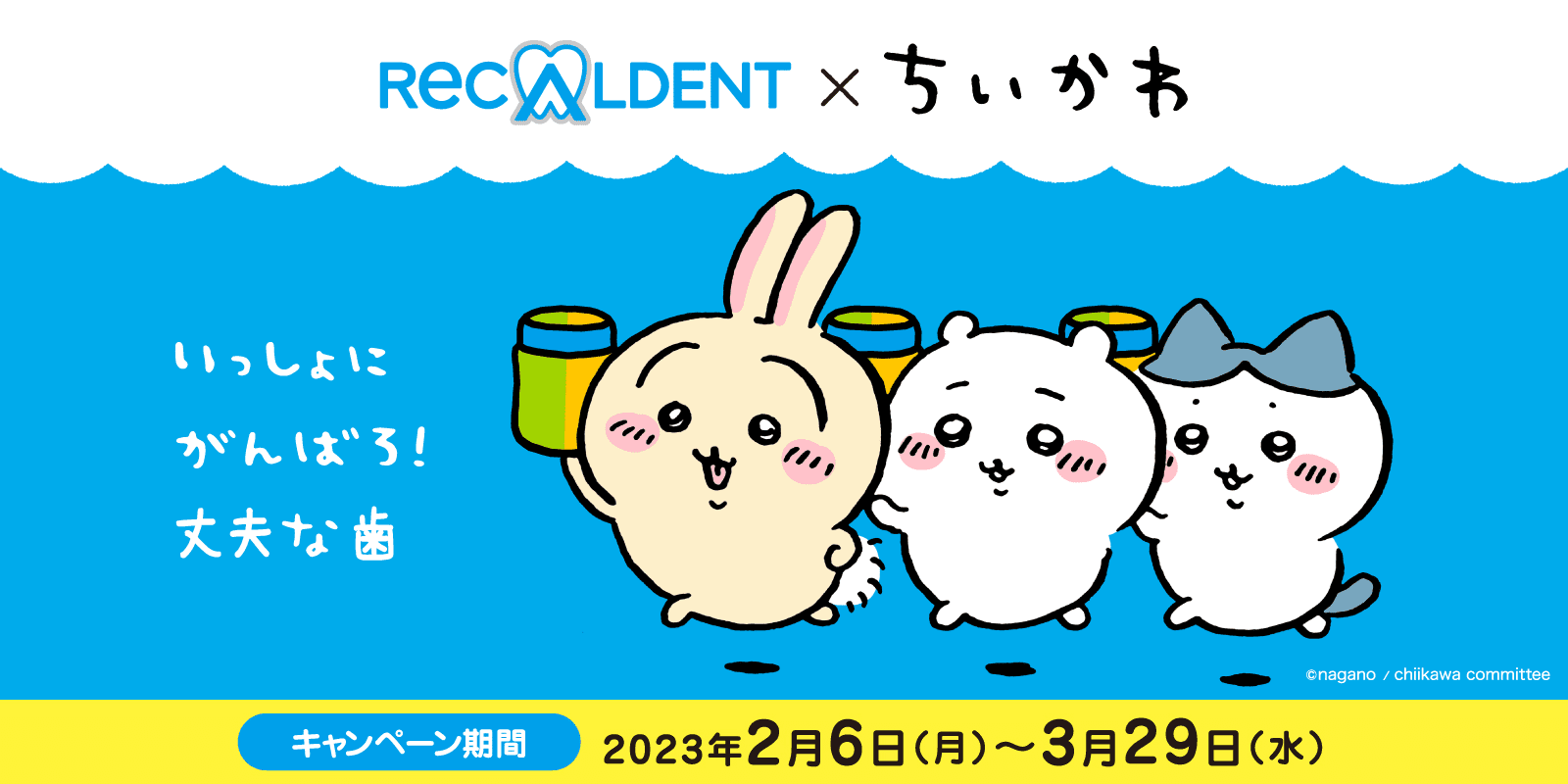 いっしょにがんばろ！丈夫な歯
