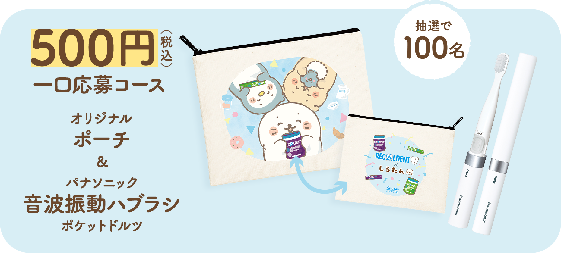 500円（税込）一口応募コース　オリジナルポート&パナソニック音波振動ハブラシ ポケットドルツ　抽選で100名様にプレゼント！