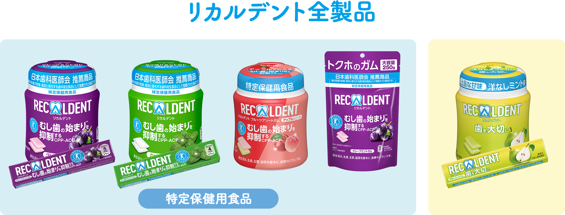 リカルデント全製品