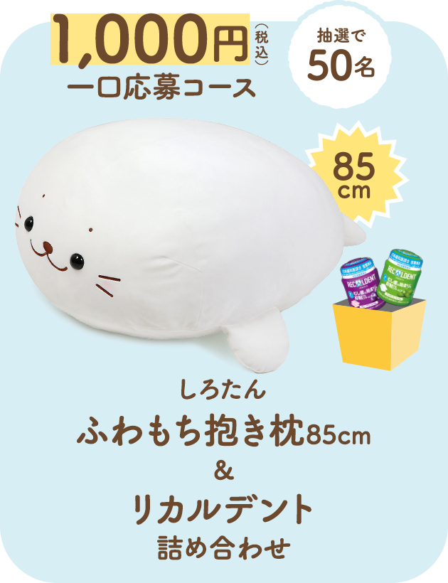 1,000円（税込）一口応募コース　しろたん ふわもち抱き枕85cm & リカルデント詰め合わせ　抽選で50名様にプレゼント！