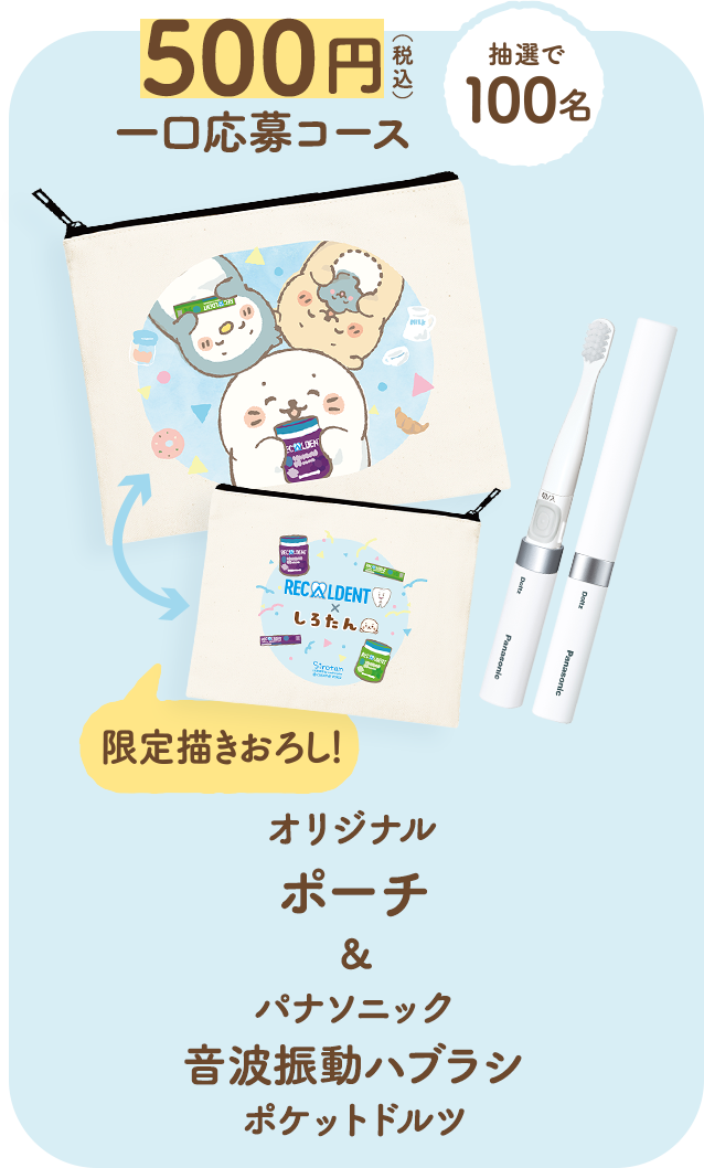 500円（税込）一口応募コース　オリジナルポート&パナソニック音波振動ハブラシ ポケットドルツ　抽選で100名様にプレゼント！