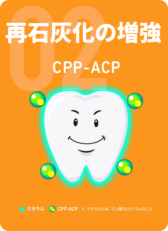 再石灰化の増強