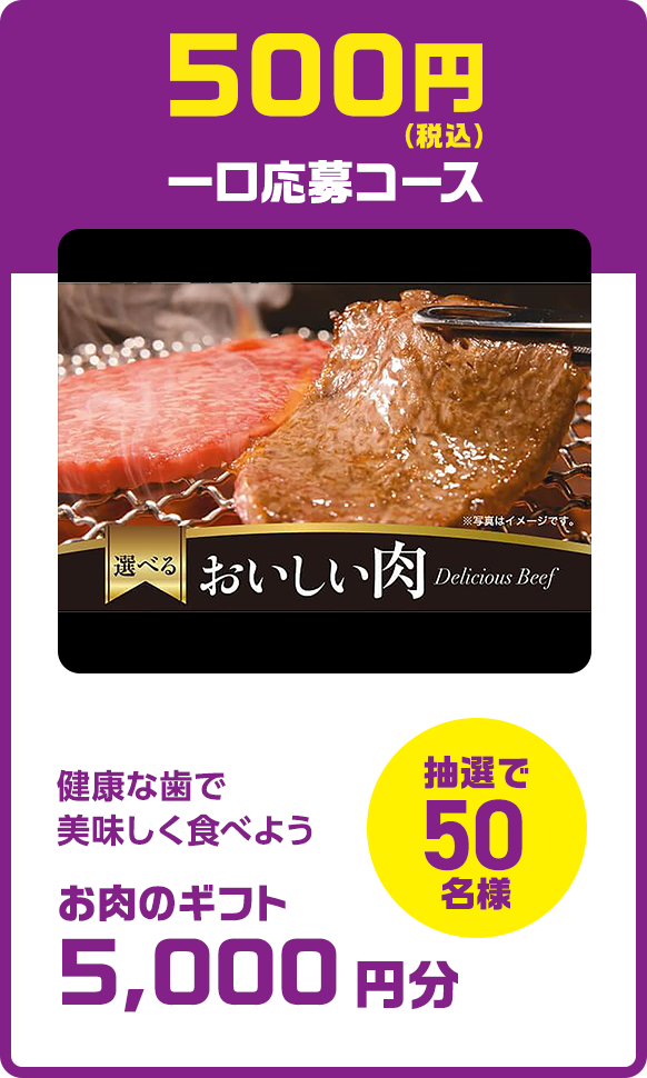 500円（税込）一口応募コース：健康な歯で美味しく食べよう お肉のギフト5,000円分（抽選で50名様）