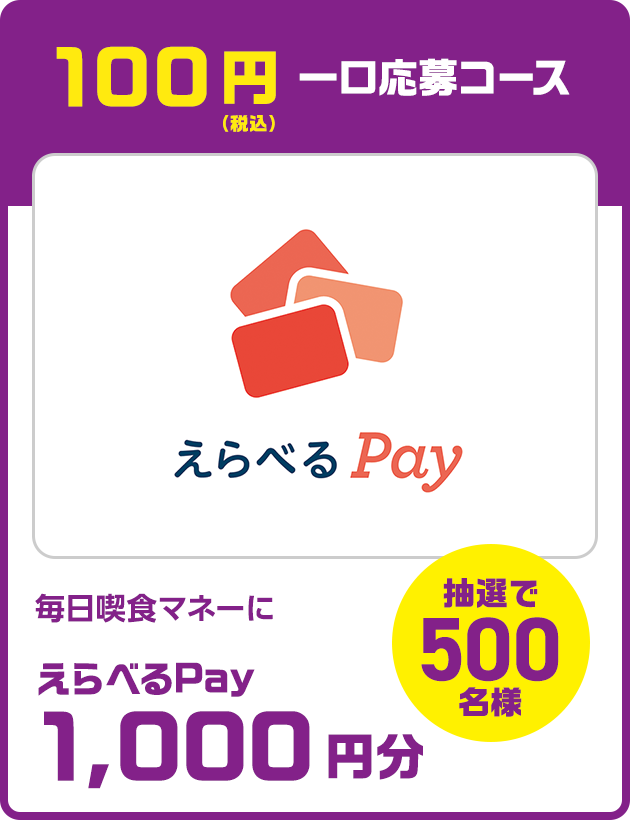 100円（税込）一口応募コース：毎日喫食マネーに えらべるPay1,000円分（抽選で500名様）