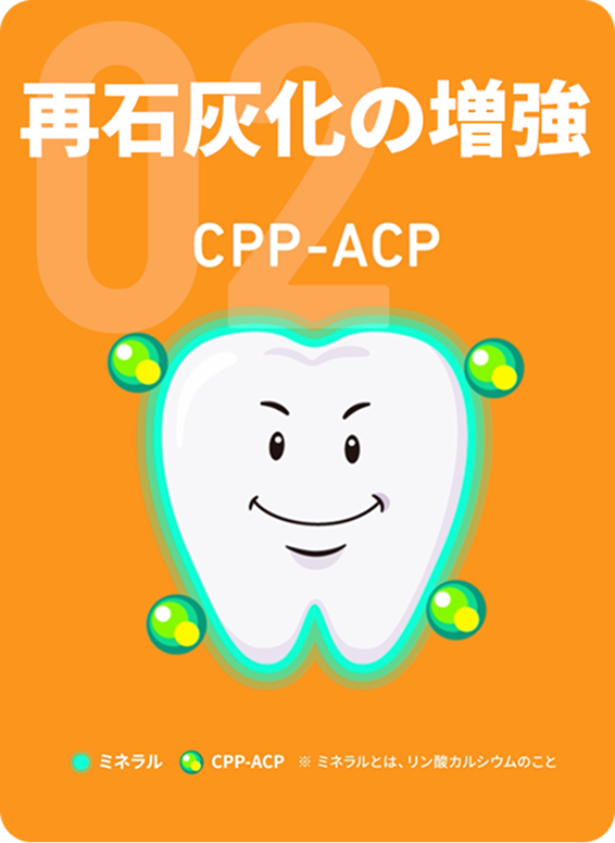 再石灰化の増強