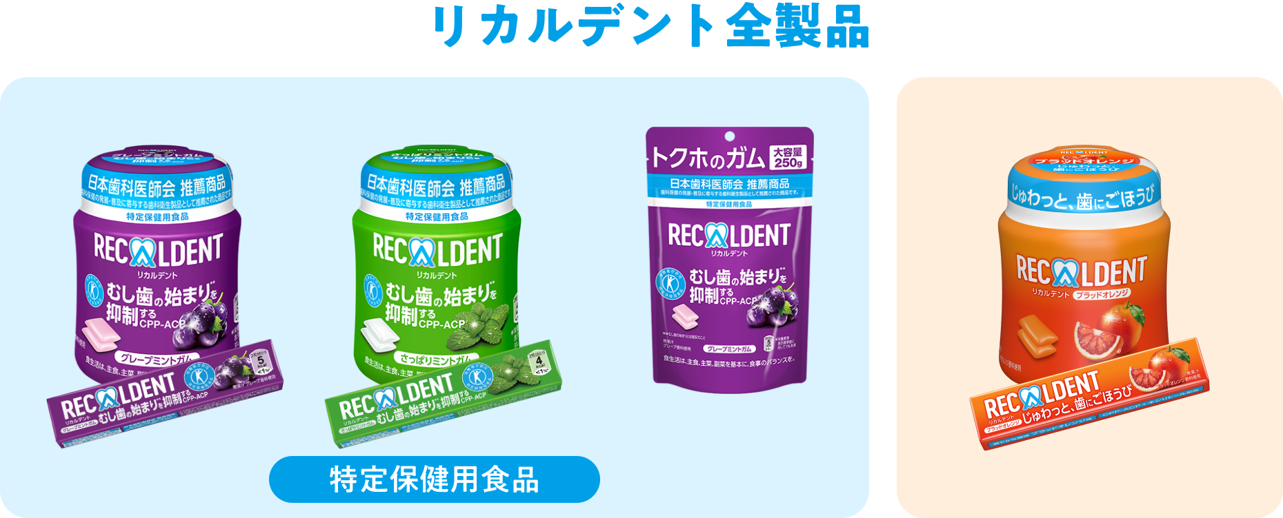 リカルデント全製品